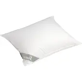 Yumeko - Oreiller - Duvet De Canard - 60x70 - Blanc