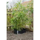Nature Barriere anti-racinaire - 70 cm x 5 m