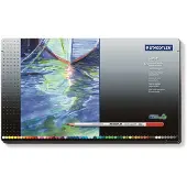 Staedtler carat aquarell 125 stylo à peinture à peinture à l'eau métallisé 48 pièces, triées (48x)