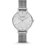 Skagen SKW2149