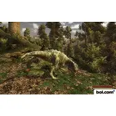Gothic 3: Forsaken Gods Pc