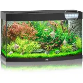 Juwel Vision Led 180 Aquarium Argenté
