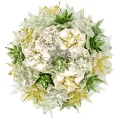 Kartell - Bloom CW2 Applique Murale/Plafonnier Menthe