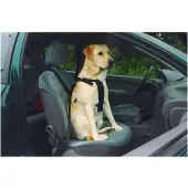 Beeztees Bz Auto Harnais De Sécurité Hu (Chien)