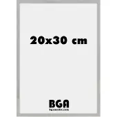 Nielsen Alpha 20x30 argent