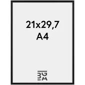 Walther design Cadre Photo Chair Din A4 21x29.7 Cm Aluminium Photo