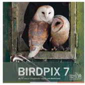 Pixfactory Birdpix 7 ; Les 77 Oiseaux Néerlandais Photogéniques