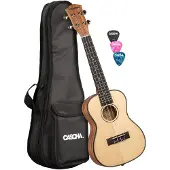 Cascha HH 2151 Concert Épicéa