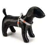 Beeztees Harnais Pour Chien Uni