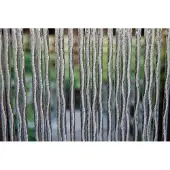 La Tenda Moustiquaire (90 x 210 cm)