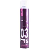 Salerm PROLINE 03 express spray 650 ml