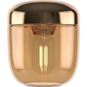 UMAGE Acorn Suspension Amber Brass