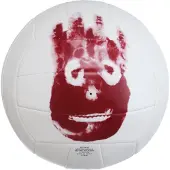 Wilson Ballon de volley-ball Castaway