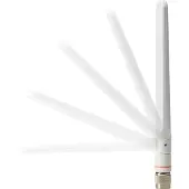 Cisco Antenne dipolaire bi-bande Aironet