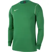 Nike T-Shirt fonctionnel 'Park 20' vert gazon / blanc