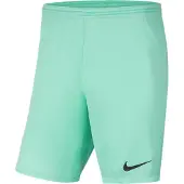 Nike Shorts Nike Y NK DRY PARK III SHORT NB K bv6865-354