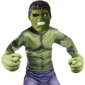 Vegaoo Avengers Kit Accessoires Hulk