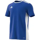 Adidas Hommes, Maillot de football, Entrada 18 Football (L), Bleu, L