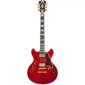 D'angelico Excel Mini DC Trans Cherry
