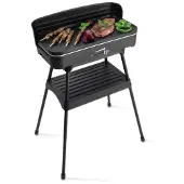 Fritel Barbecue (bbq 2246)