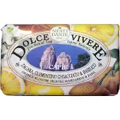 Nesti dante Nesti-Dante-Firenze Savon-et-gel-douche Dolce-VivereCapri Soap 250 g (16,28 € / 1 kg)