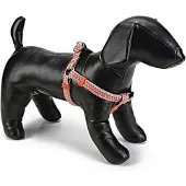 Beeztees BZ NY GESCH TRIAN HEGRAU 26-40 (Chien)