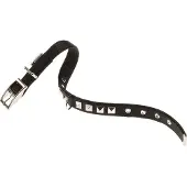 Ferplast Collier De Chien Dual 20 Mm 43 Cm