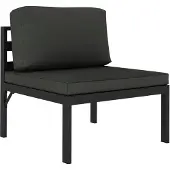 vidaXL Canapé central sectionnel avec coussins Aluminium Anthracite