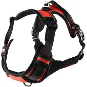 Flamingo Harnais Balou Rouge pour chien