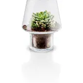 Eva Solo Vase à Succulents Eva Solo Transparent 15 cm
