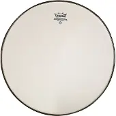 Remo SA-0012-ss Renaissance Ambassador (timbre) 12