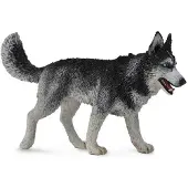 Collecta Husky sibérien