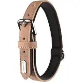 Flamingo Delu Dog Collar Marron 52-62 cm x 30 mm