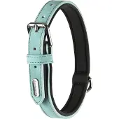 Flamingo Collier De Chien Delu