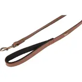 Flamingo Laisse Pour Chien Lyabo