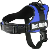 Flamingo Harnais Pour Chien Best Buddy Pluto