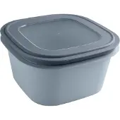 Sunware Sigma Home Fresh Boîte de rangement - 3,8L - Gris clair