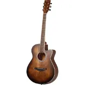 Fazley W55-COL-BR ColourTune guitare folk marron
