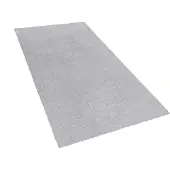 Beliani Tapis gris clair 80 x 150 cm Shaggy DEMRE (150 x 80 cm)
