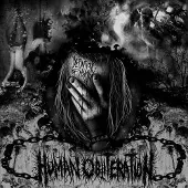 Sonic Human Obliteration - Definition Of Insanity [Vinyl]