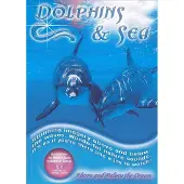 OREADE Dolphins And Sea
