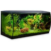 Fluval Flex 123l Aquarium Kit Vert