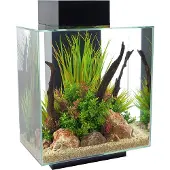 Fluval Edge Led 2.0 46l Aquarium Kit Clair