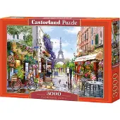 Castorland Puzzle Floraison, Paris - 3000 pièces