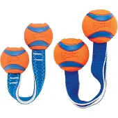 Chuckit! Chuckit Ultra Duo Tug Jouet avec balles et corde - Taille M
