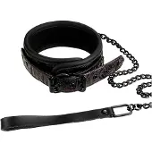 Blaze Collar and Leash collier avec laisse purple 73 cm
