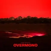 Bertus Distributie Overmono - Fabric Presents Overmono [Vinyl Lp] Digital Download
