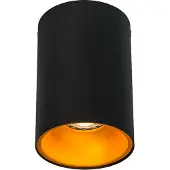 QAZQA Spot intelligent noir avec or et source de lumière WiFi GU10 - Deep