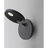 Artemide Demetra Spotlight Applique Without Switch | Anthracite Grey | 2700 K