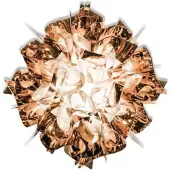 Slamp Veli Plafonnier/Applique Copper | Mini